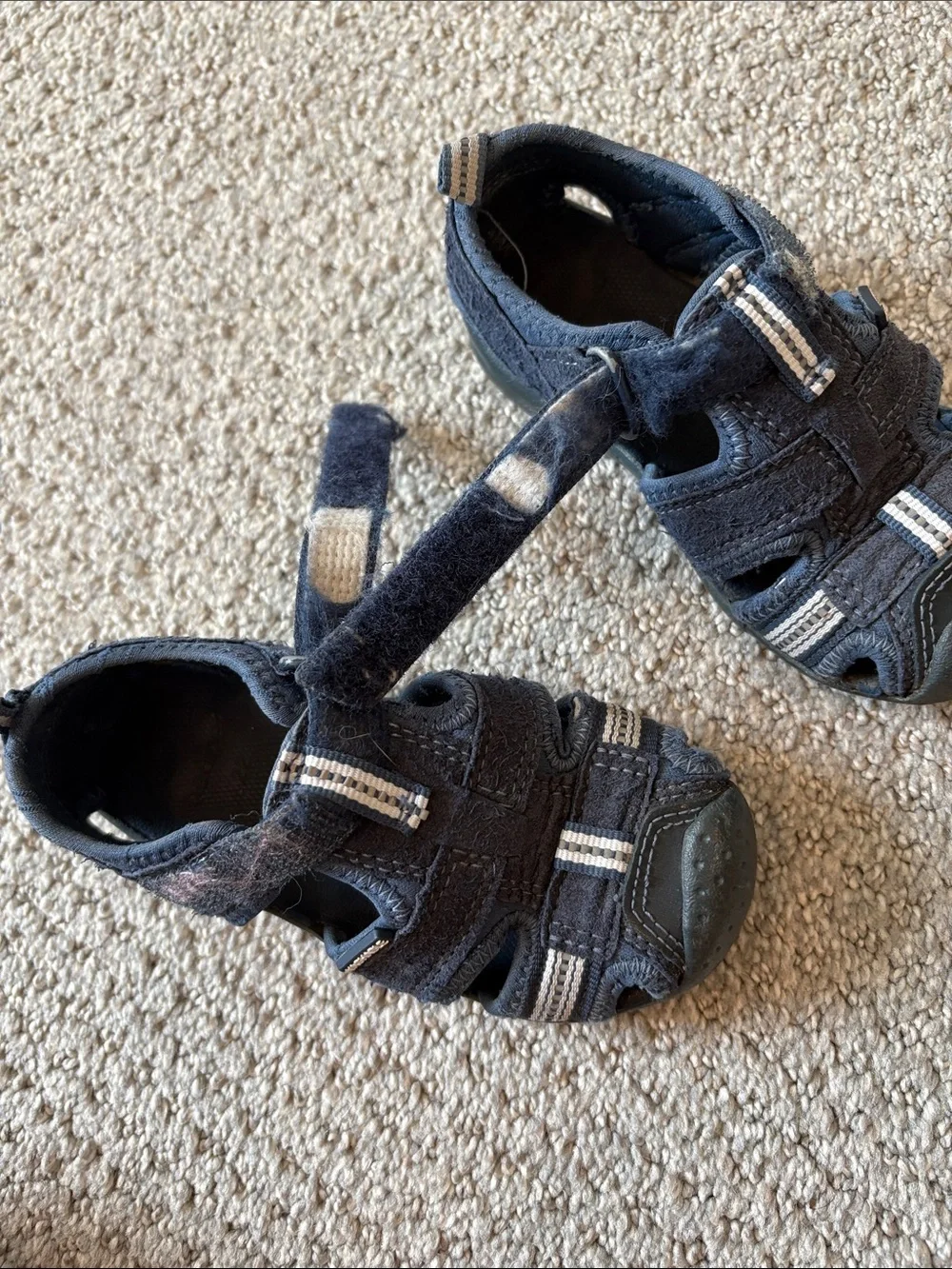 pediped sturdy closed